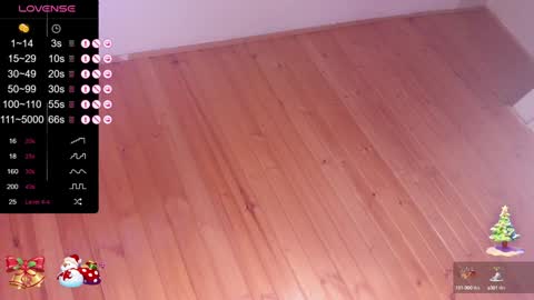 Snapshot of pamela_dimantis_ chatting on 12.31.24 Pamela online show from 12.31.24