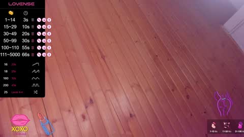 Snapshot of pamela_dimantis_ chatting on 01.14.25 Pamela online show from 01.14.25