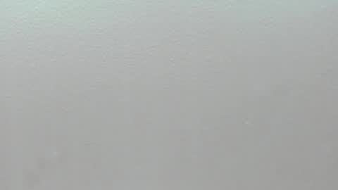  P A M  online show from 02.01.26