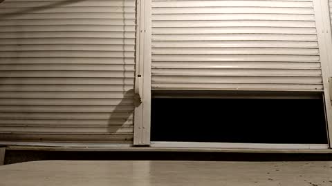 angel hris online show from 11.24.25