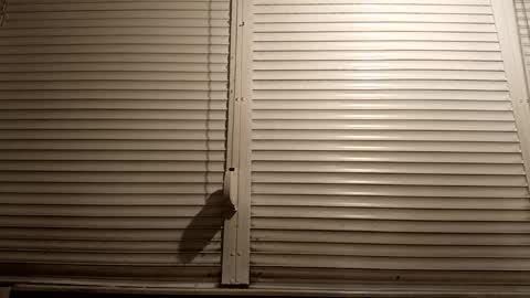 angel hris online show from 03.05.26