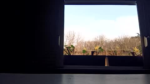 angel hris online show from 04.03.26