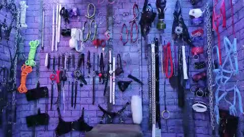 PandoraNez online show from 02.12.26