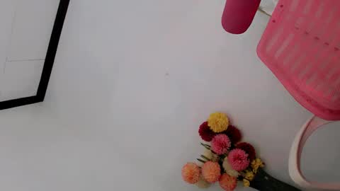 Snapshot of papigoddesslover chatting on 02.25.25 Fina Dwarf online show from 02.25.25