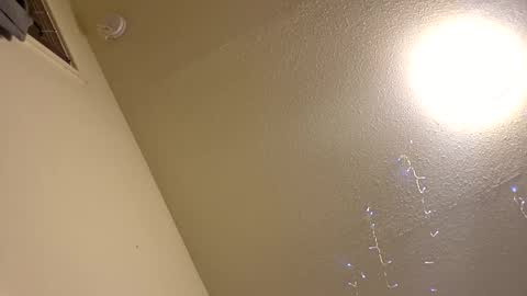 Papij online show from 01.13.26