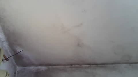 Snapshot of pareja201722 chatting on 12.31.24 pareja201722 online show from 12.31.24