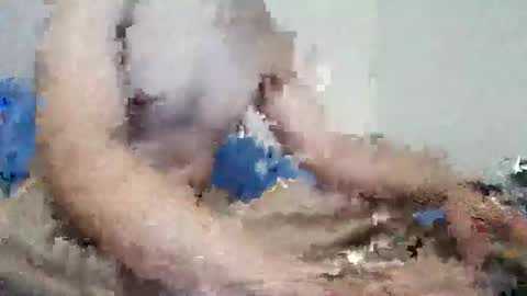 parejitafiel2309 online show from 11.09.25