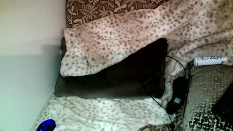 Snapshot of parlay0028 chatting on 12.23.24 Parlay tellio online show from 12.23.24