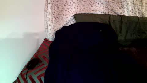 Snapshot of parlay0028 chatting on 01.29.25 Parlay tellio online show from 01.29.25