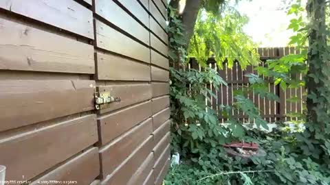 Andreea online show from 07.14.26