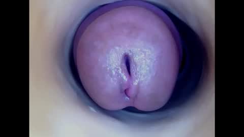 Paula 18 Aninhos online show from 01.30.25