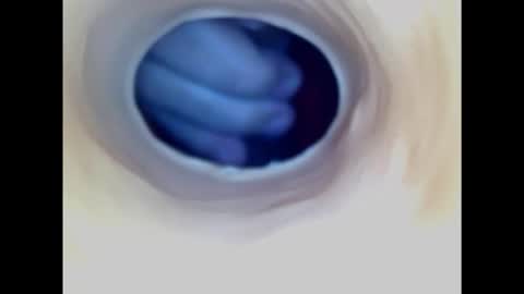 Paula 18 Aninhos online show from 02.01.25