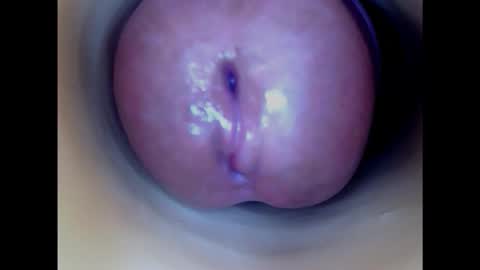 Paula 18 Aninhos online show from 02.03.25