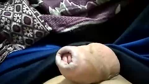 carlosjdo online show from 10.29.25