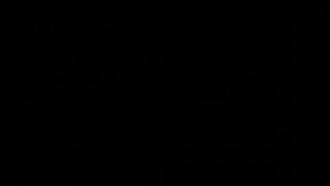 Paul online show from 04.02.26