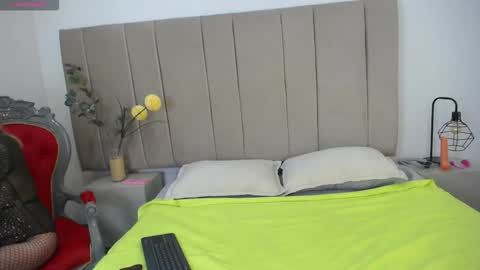 paultte online show from 11.15.25