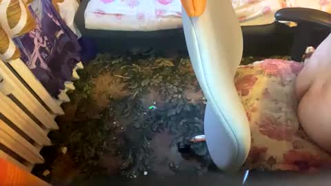 pawelmajster3 online show from 10.18.25