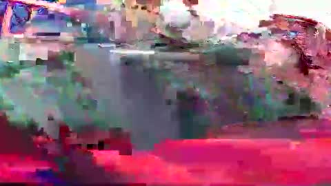 Coco channel  online show from 12.20.24