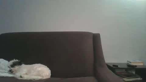 Snapshot of paybarbi chatting on 01.16.26 paybarbi online show from 01.16.26