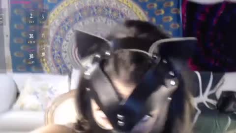 Snapshot of peekclimaxxx chatting on 12.02.24 NEXT CHILL SESH 1130 930pm -ish PEEK online show from 12.02.24