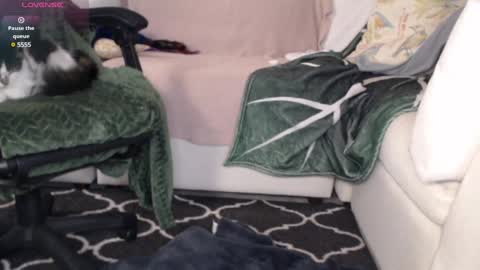 Snapshot of peekclimaxxx chatting on 03.06.25 NEXT CHILL SESH 1130 930pm -ish PEEK online show from 03.06.25