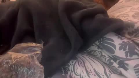 Snapshot of penutbutter691 chatting on 02.23.26 penutbutter691 online show from 02.23.26