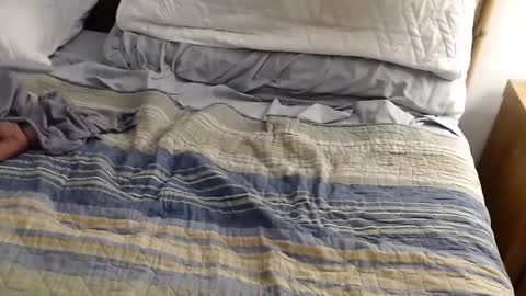 Snapshot of perdidobch chatting on 12.13.24 perdidobch online show from 12.13.24