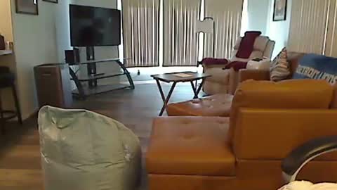 perfecto1957 online show from 10.30.25