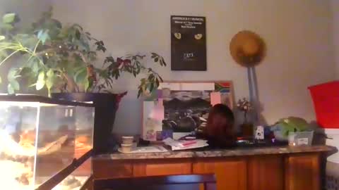 Perinne50 online show from 12.16.24