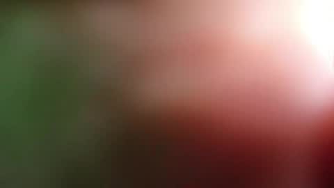 Snapshot of perla_lovely chatting on 05.01.26 perla_lovely online show from 05.01.26