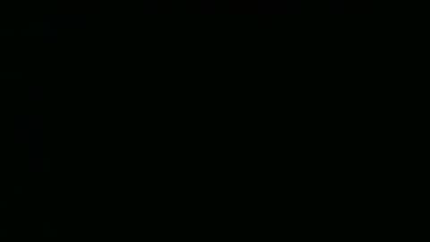 perrosoxxx online show from 01.15.25