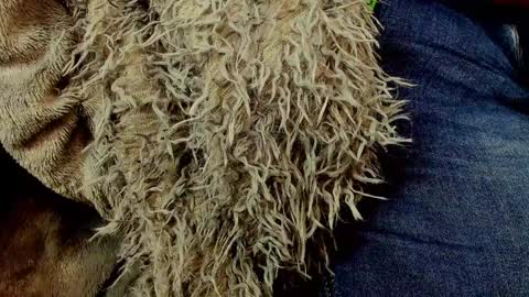 horror flying on the wings of the night.... online show from 01.25.25