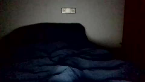 dani online show from 01.15.26