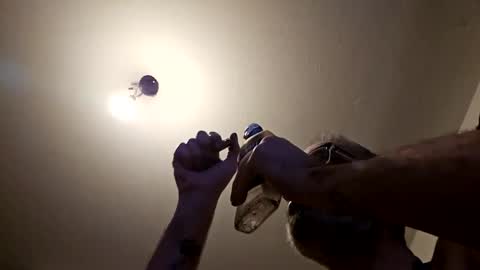 pervpig1 online show from 11.27.25