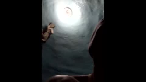 9072523824 online show from 01.19.25