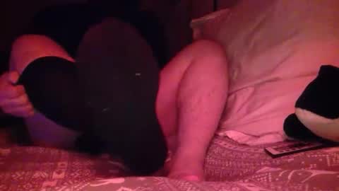 petmask online show from 04.21.26