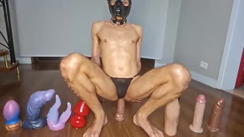 petsexboy online show from 06.10.26