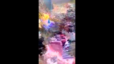 Snapshot of pezzabigcock chatting on 02.17.26 pezzabigcock online show from 02.17.26