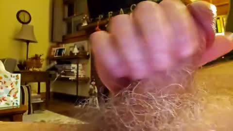 Snapshot of phil719 chatting on 12.17.24 Phil online show from 12.17.24