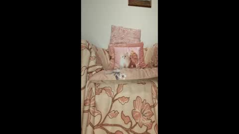 Snapshot of philos1979 chatting on 01.19.26 philos1979 online show from 01.19.26