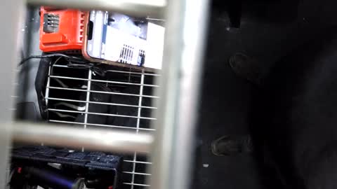 pickleback69 online show from 09.21.25