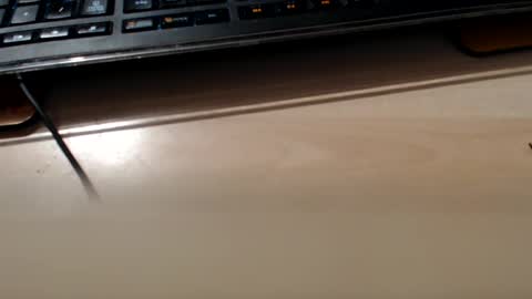 pier49x online show from 02.10.25