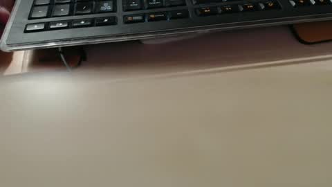 pier49x online show from 04.18.26