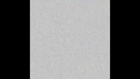 pimmel10 online show from 11.29.25