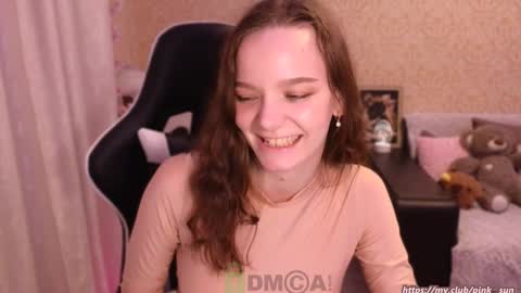 Snapshot of pink__sun chatting on 02.04.25 Stephanie online show from 02.04.25