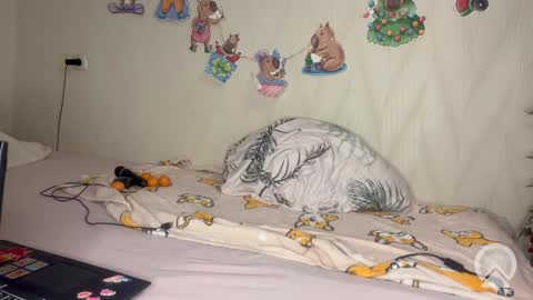 Pikachu pika online show from 02.19.26