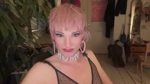 pinkfag online show from 04.09.26
