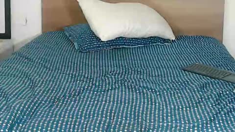 Snapshot of pinkliminof chatting on 01.29.25 Pamela Ston online show from 01.29.25