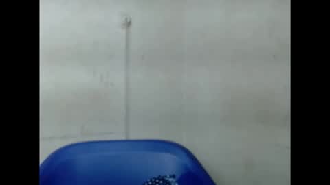 Snapshot of pinkxsugar chatting on 09.10.25 pinkxsugar online show from 09.10.25