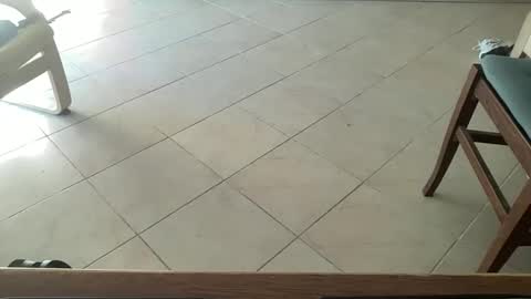 Snapshot of pisellone_xxl chatting on 09.19.25 pisellone_xxl online show from 09.19.25